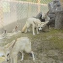 우명농장 이미지