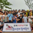 늘푸른나무 이미지