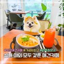 애견하우스 | 인천 실내 애견카페 추천 | 가성비 좋은 라푸하우스 후기