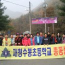11월7일 재청수봉초등학교동문회 등산[양성산] 이미지