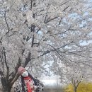 여울목수변공원 이미지