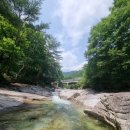 사선대황토펜션 이미지