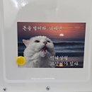 판포레스트 이미지