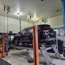 프로미자주카 이미지