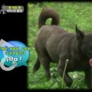 까미농장 이미지