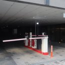 팰리스 독 이미지