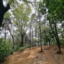 봉제산 담소터 화장실 | 강서구 산책 봉제산 둘레길 찐 추천코스 봉제산 책쉼터 숲속카페까지