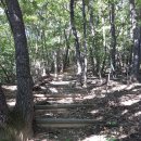 사명대사길 이미지