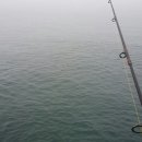 반도낚시 이미지