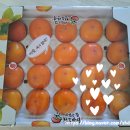 구암동217 이미지