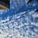 풍성농약사 이미지