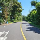 버스정류소_김녕환승정류장 이미지