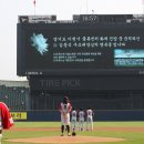 야구대장 이미지