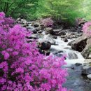 김경태한의원 이미지