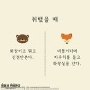 곰과여우 이미지