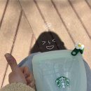 푸드엔 | 스타벅스 실리콘 푸드백 세트 내돈내산 후기