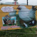 진숙목장 이미지