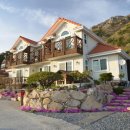 버즈힐펜션 이미지