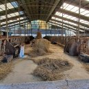 한우축사 이미지