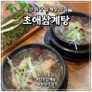 GMS원당산업(주) | 일산 원당 더덕튀김과 함께한 삼계탕 원당맛집 초애삼계탕 후기