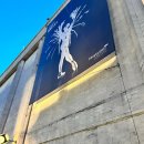 MASTERS | 뉴욕] New York City Ballet 뉴욕시티발레 @David H.Koch Theater 내돈내산 관람 후기 / Masters at Work 1