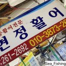 현정활어