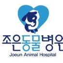 왕십리조은동물병원 이미지