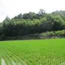 (구)풍천중학교 이미지