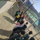 경희대선호태권도 이미지