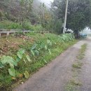 우지낚시터 이미지