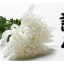 인화동-22 이미지