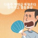 (주)돔돔 이미지