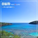 8박 10일 하와이 신혼여행 8일차, 마지막 러브스토리