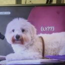 산골총각 영웅 (2회)ㅡSBS funE.. 이미지