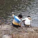 다인야영장 이미지