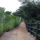 홍릉초교 이미지