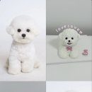 햇살가득동물병원 이미지