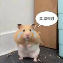 🤍W-4🤍 창원 미래웨딩캐슬 홀투어 후기 / 내 최종 베뉴 (VIP홀, 대관료, 주차, 뷔페)