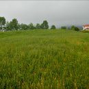 남원목장 이미지