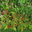 성북구청 앞 이미지