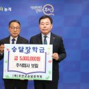 보림 이미지