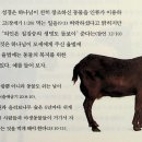 올바이블 이미지