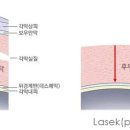 스마일 이미지