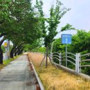 낙동강생태문화탐방로 이미지