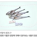 미스터리코다리 - 청주시 청원구 | 미스터리코다리