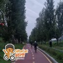 탄천, 장지천 합류지점 화장실 티스토리