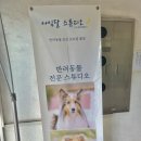 아임2스튜디오 이미지