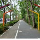 양재대로 이미지