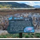 대가연꽃테마공원 이미지