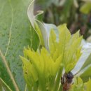 두륜산농장 이미지